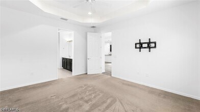 11195 St. Roman Way in Bonita Springs, FL - Building Photo - Building Photo
