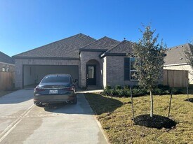 26519 Wild Stonecrop Ln in Katy, TX - Building Photo