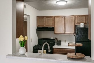 Emerald Pointe Apartments in South Bend, IN - Foto de edificio - Building Photo