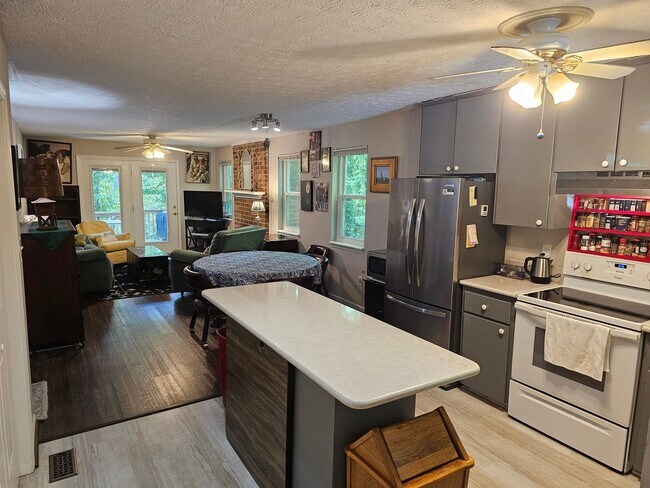 117 Oxford Ct in Athens, GA - Building Photo - Building Photo
