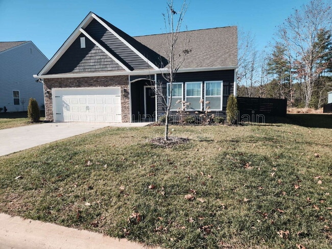 299 Ridgeview Ln in Mars Hill, NC - Building Photo - Building Photo