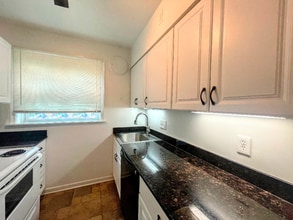 6231-6233 Eichelberger St in St. Louis, MO - Building Photo - Building Photo