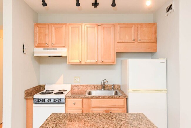 450 W Wellington Ave in Chicago, IL - Building Photo - Building Photo