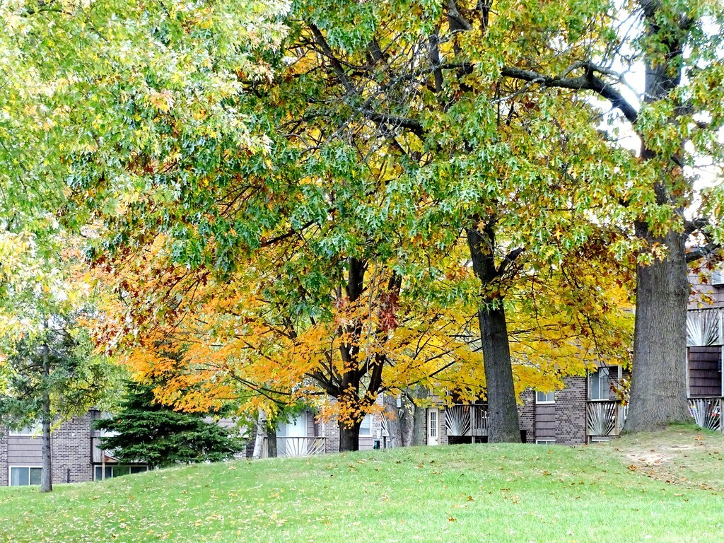 The Willows & Northwood Liverpool, NY Apartments