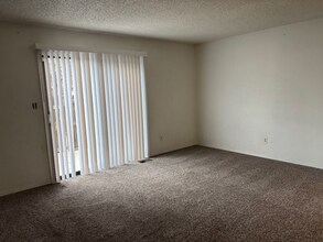 2447 Lexington Village Ln in Colorado Springs, CO - Building Photo - Building Photo