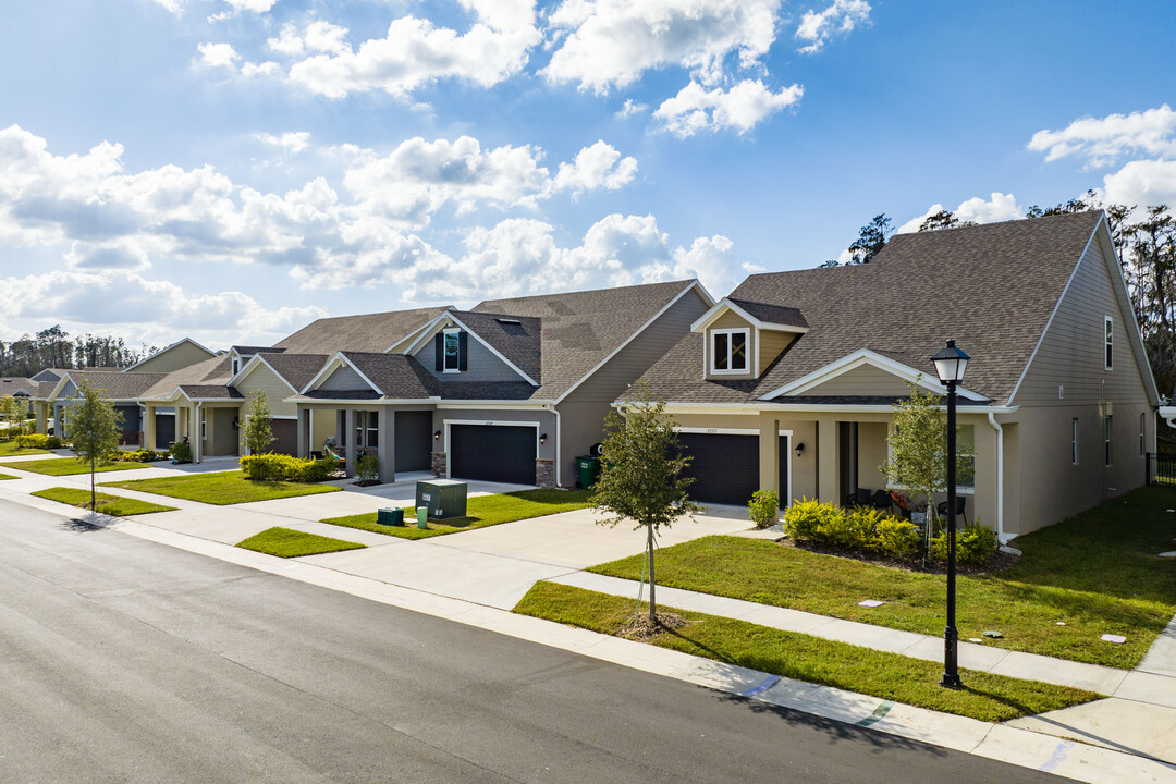 Siena Cove in Wesley Chapel, FL - Building Photo