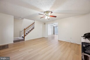 331 Cool Breeze Ct in Pasadena, MD - Building Photo - Building Photo