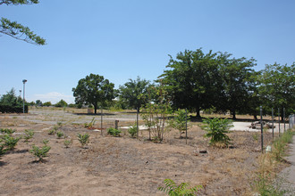 Del Rey Mobile Home Park in Albuquerque, NM - Building Photo - Building Photo