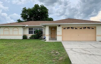 301 Chiquita Ct in Kissimmee, FL - Building Photo