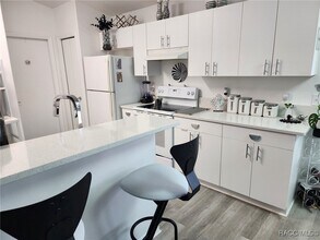 1876 W Shanelle Path in Lecanto, FL - Building Photo - Building Photo