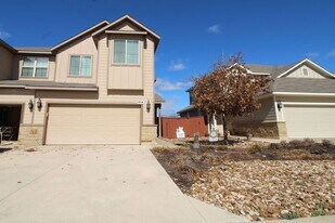 523 High Tech Dr in Georgetown, TX - Building Photo