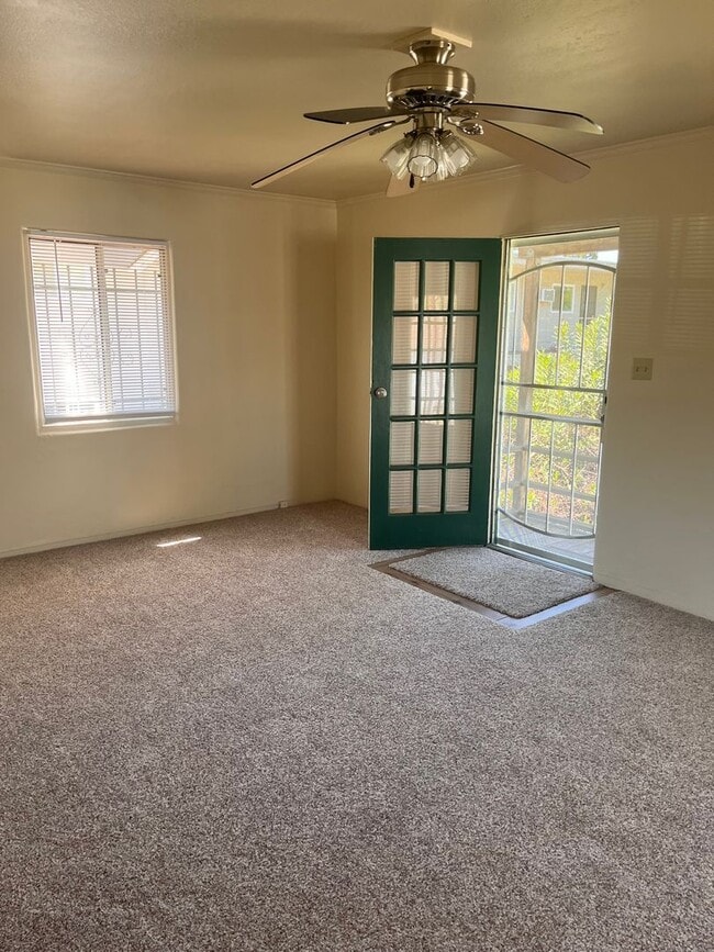 property at 215 Olive Ave
