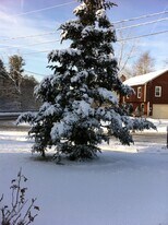 1257 E Main St, Unit 2