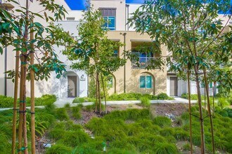 2329 Verano Wy. in Vista, CA - Building Photo - Building Photo