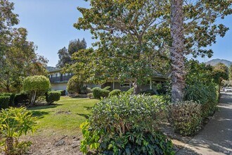 83 Pixley Ave in Corte Madera, CA - Building Photo - Building Photo