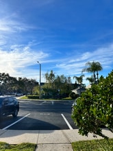 211 Countryside Key Blvd in Oldsmar, FL - Foto de edificio - Building Photo