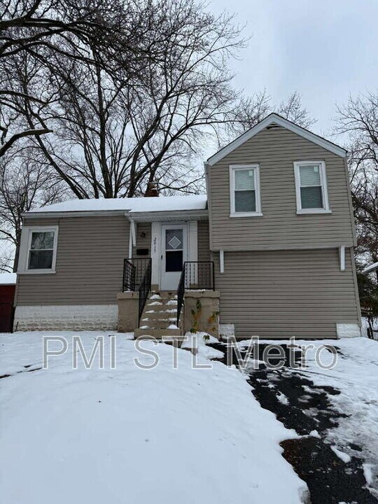 2915 Ridgeway Ave in St. Louis, MO - Building Photo