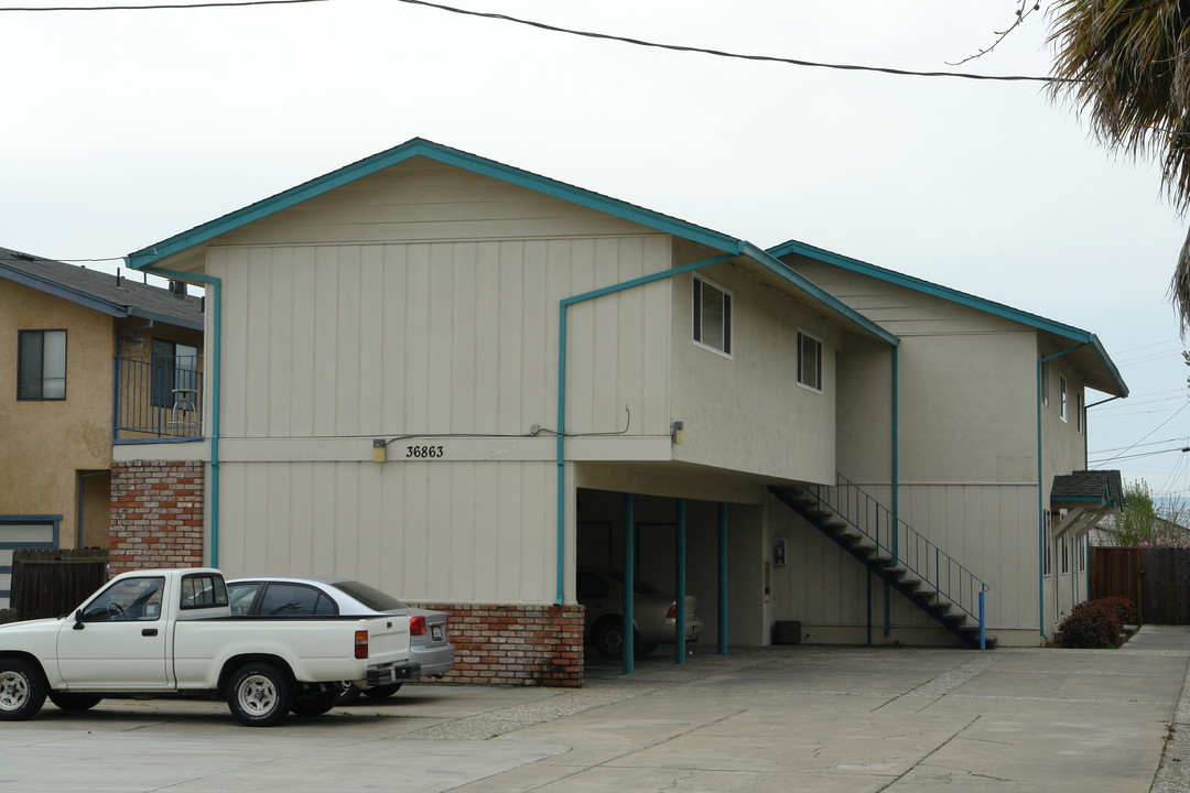 36863 Ash St in Newark, CA - Building Photo