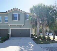 5974 Grand Sonata Ave in Lutz, FL - Building Photo