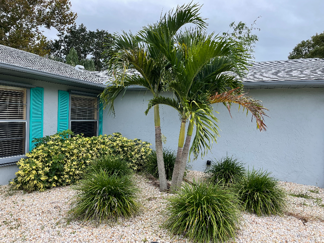 2219 Umbrella Tree Dr in Edgewater, FL - Building Photo - Building Photo