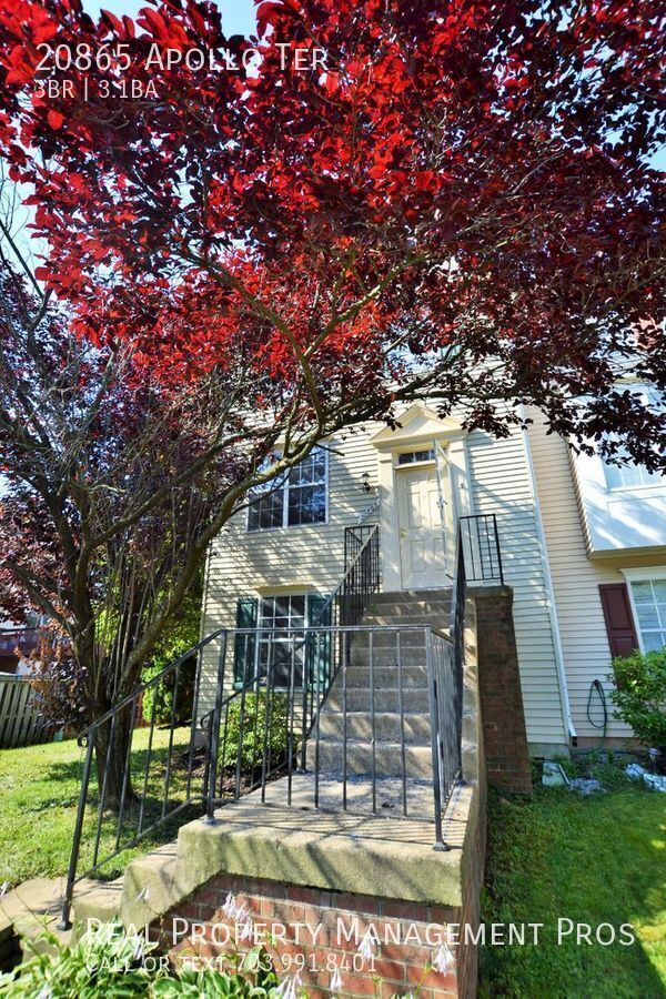 20865 Apollo Terrace in Ashburn, VA - Building Photo - Building Photo