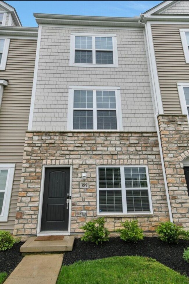 389 Laurel Creek St in Pickerington, OH - Building Photo - Building Photo