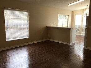 317 McCoy Village Ct in Apopka, FL - Foto de edificio - Building Photo