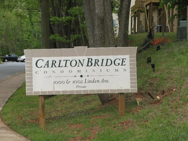 1002 Linden Ave in Charlottesville, VA - Building Photo - Building Photo