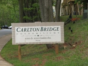 1002 Linden Ave in Charlottesville, VA - Building Photo - Building Photo