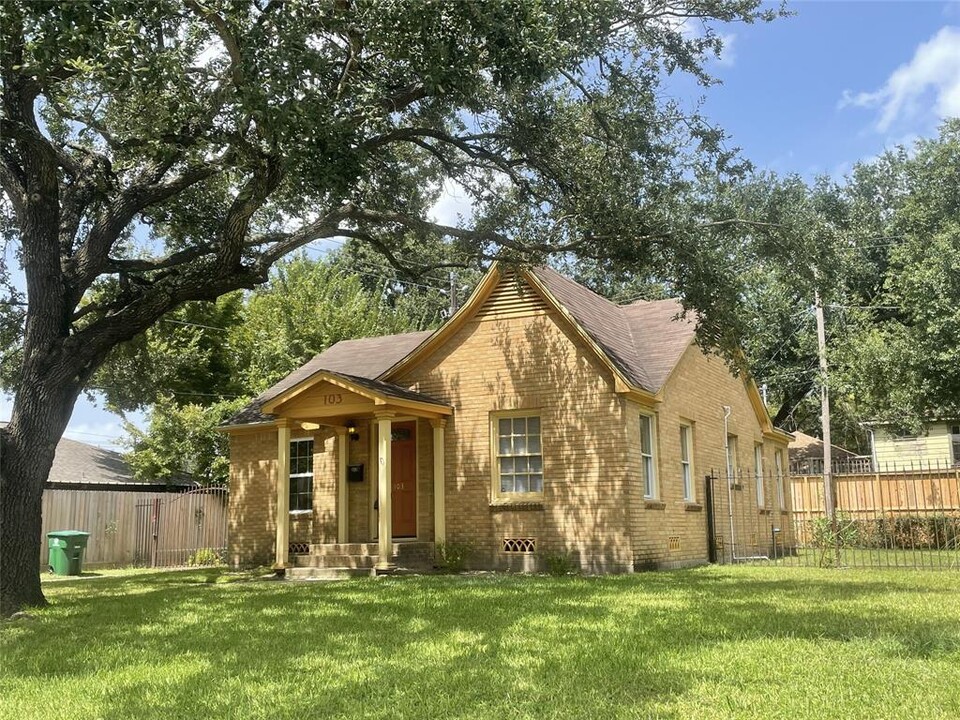 103 Avenue of Oaks St in Houston, TX - Building Photo