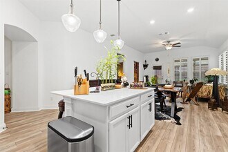 513 Georgia Lace Trail in Georgetown, TX - Building Photo - Building Photo