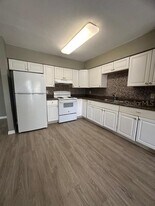 8206 N Elmer St in Tampa, FL - Building Photo