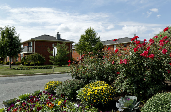 Winding Wood Apartments in Sayreville, NJ - Building Photo - Building Photo