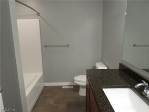 1733 Blase Nemeth Rd in Painesville, OH - Foto de edificio - Building Photo