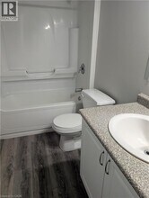 736 Old Albert St in Waterloo, ON - Building Photo - Building Photo