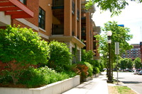 Sibley Court in St. Paul, MN - Foto de edificio - Building Photo