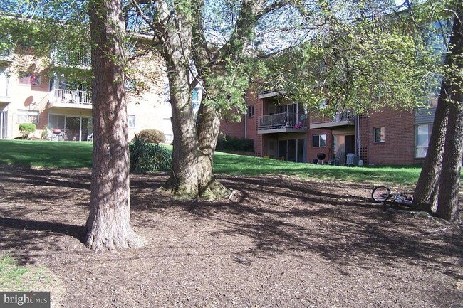 3712 N Rosser St in Alexandria, VA - Foto de edificio - Building Photo