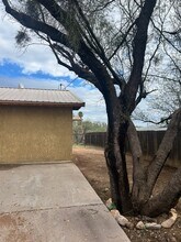 428 Paseo Flamenco in Rio Rico, AZ - Building Photo - Building Photo