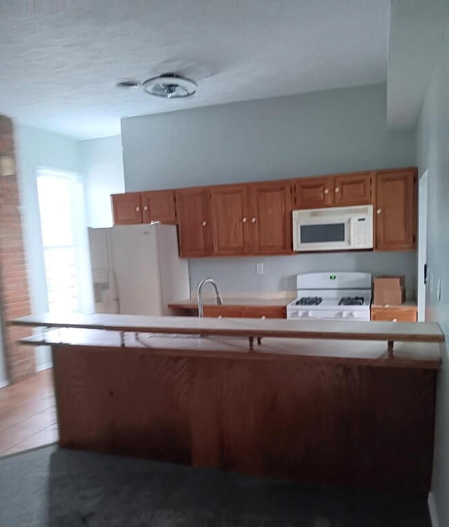 230 S Chicago St in Lincoln, IL - Building Photo - Building Photo