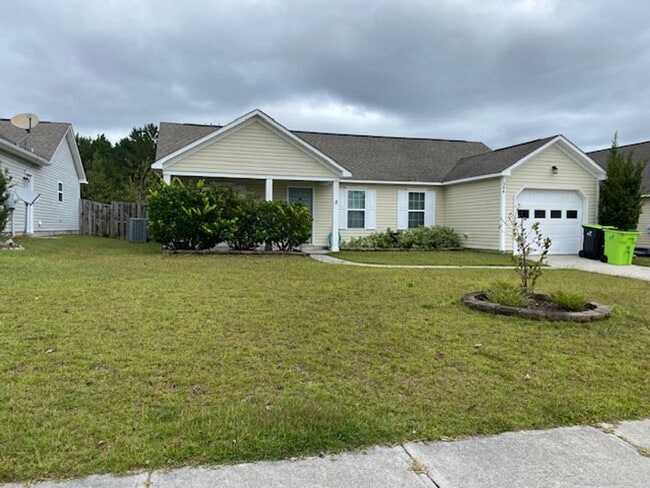 property at 206 Red Carnation Dr