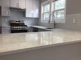 102 Nonantum St, Unit 1 in Boston, MA - Building Photo