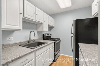 100 E Walton St in Chicago, IL - Building Photo - Building Photo