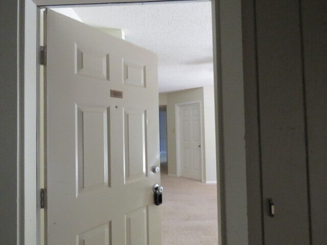 3803 Chimney Ridge Pl in Durham, NC - Building Photo - Building Photo