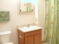 Bathroom - Ashton Ridge Apartments in Jackson, Michigan