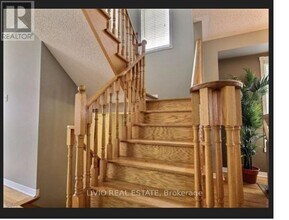 55 Peachleaf Crescent in Brampton, ON - Building Photo - Building Photo