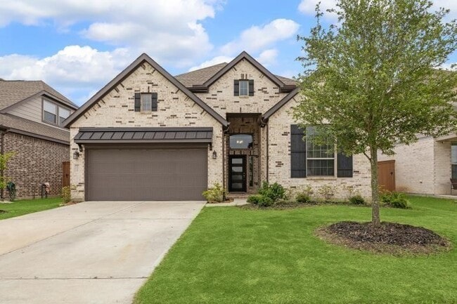 23327 Yellow Larkspur Ln