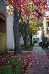 Building Photo - Cedar Ridge Apartments in Sacramento, California