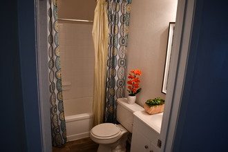 Buena Vida Apartments in San Antonio, TX - Building Photo - Interior Photo