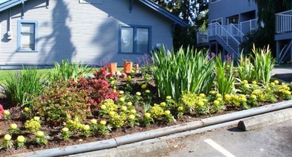 Maplewood Junction Apartments in Bellingham, WA - Building Photo - Building Photo