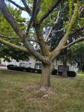 10576 Market Ave N in Hartville, OH - Foto de edificio - Building Photo